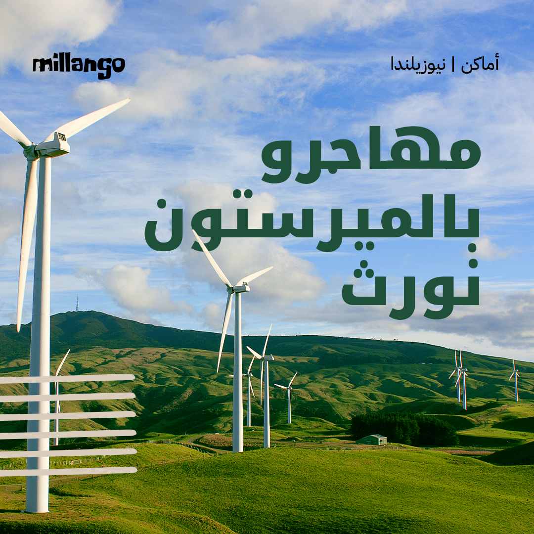 مهاجرو بالميرستون نورث